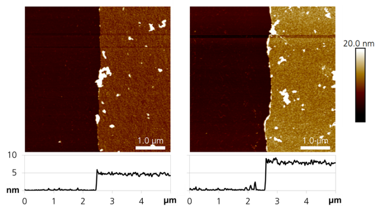 AFM Aufnahmen und Höhenprofile einer FhuA-Mono- und Doppellage.