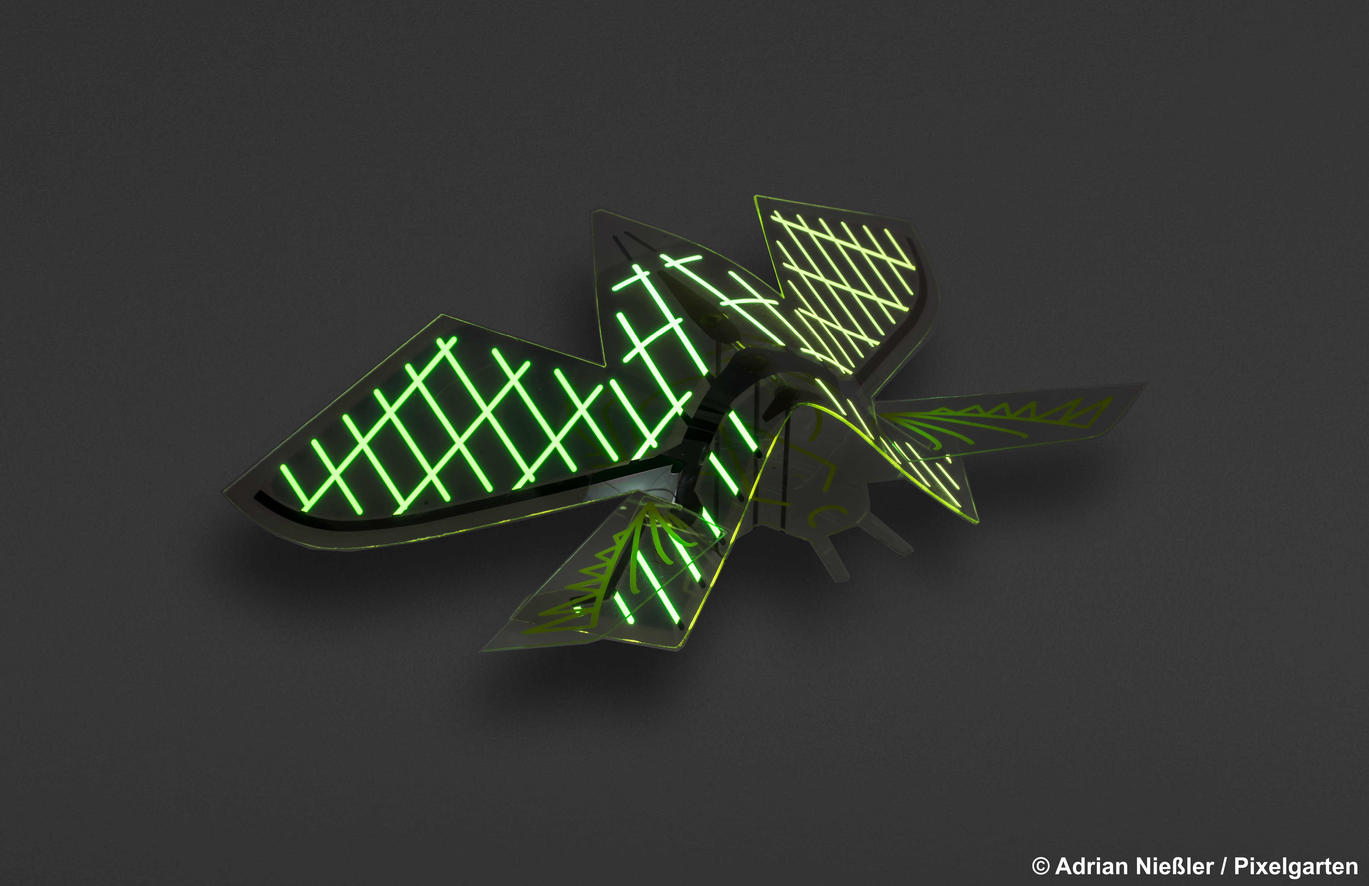 Musca Noctis – Nachtfliege des „Insect-Project“ mit OLED auf flexibler Kunststofffolie