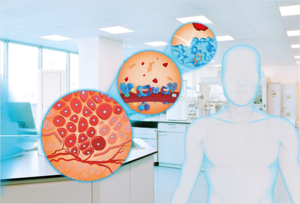 Fraunhofer at DESY: Focus on BioMed