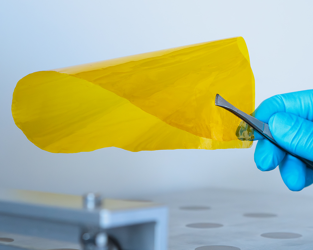 Hand in blue glove holds membrane with tweezers